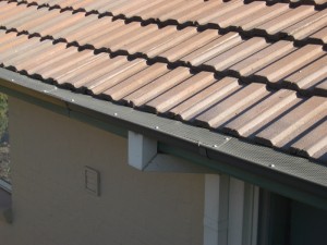 Tile Roof with Gumleaf Protection